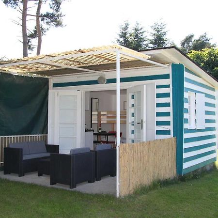 Bungalows In Freest Luaran gambar